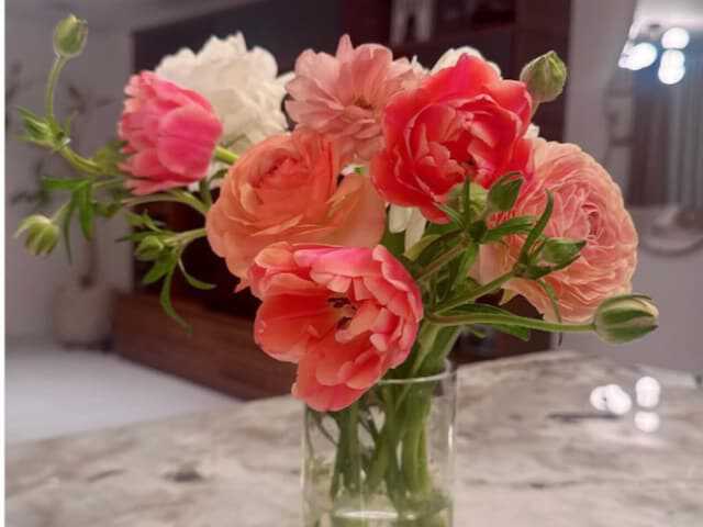 タレントの板野友美さんは3月25日、自身のInstagramを更新。花の写真と共に心に響くメッセージ「トモミ語録」を公開し、反響を集めています。(サムネイル画像出典:板野友美さん公式Instagramより)