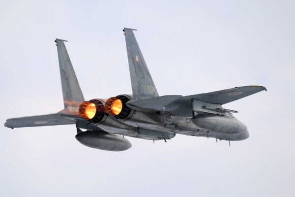 Large figure1 gallery3