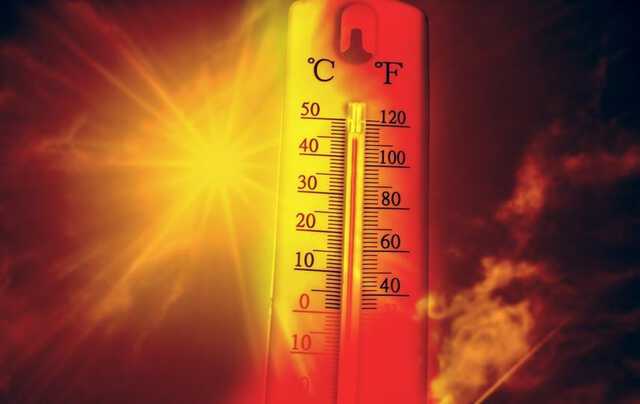 shutterstock_2294227483