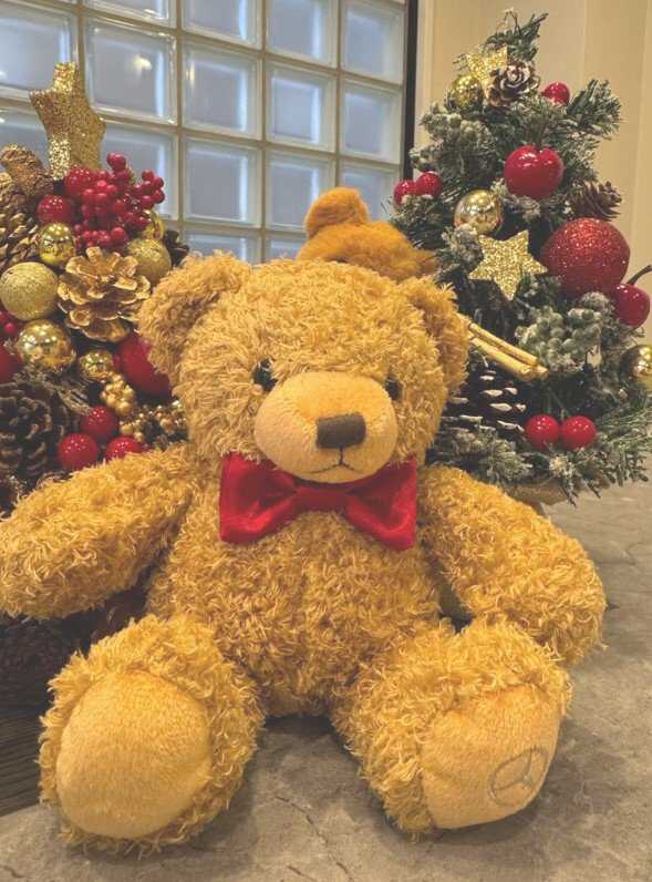 美品)アーティストベア　クリスマス仕様 プレゼントにも最適】「クリスマスベア」セットの特別価格キャンペーン