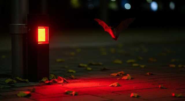 Whisk_09c7b34d8c9584183cc4dc0ca43778dfdr