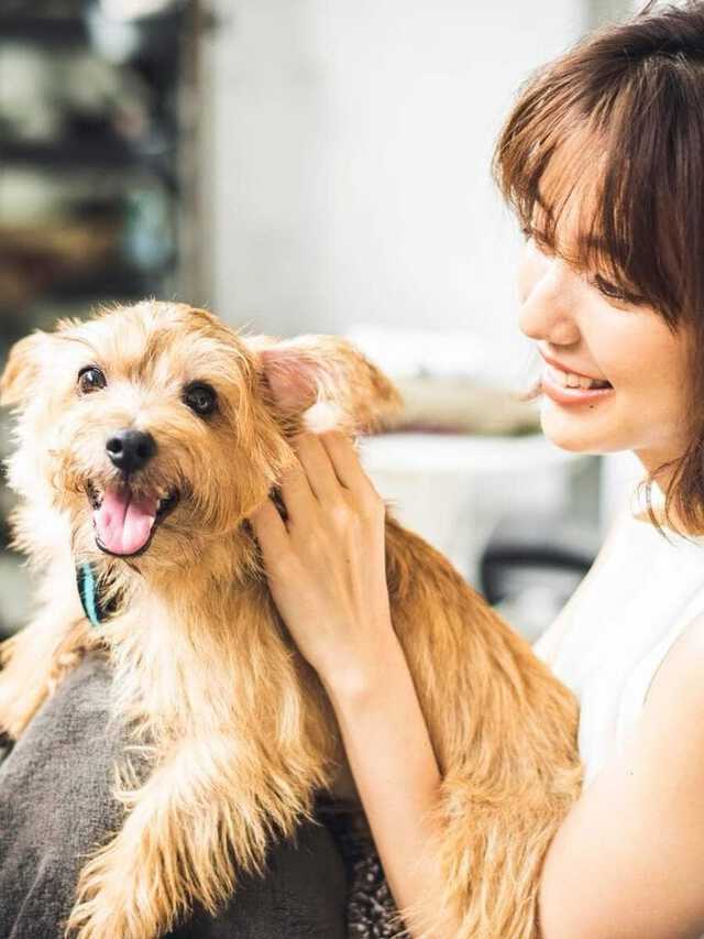 真野恵里菜さん　インスタグラムより引用