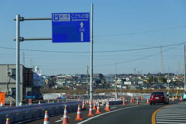 Large figure1 gallery1