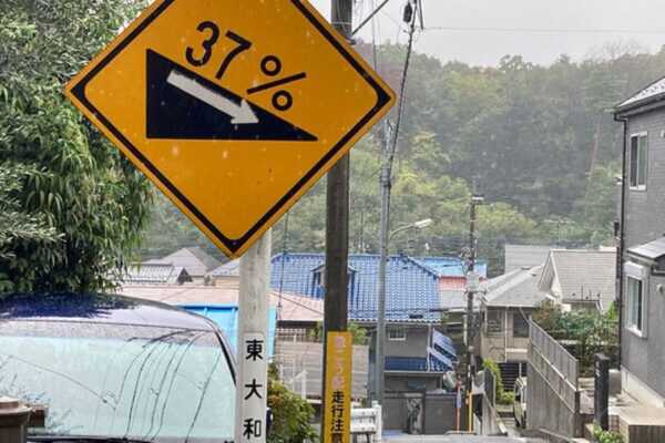 Large figure1 gallery8