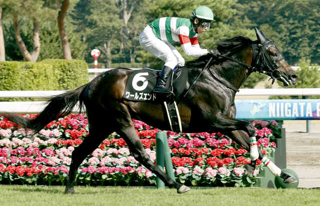 第1回新潟競馬 騎手サイン m11268411089_1.jpg?1715955281