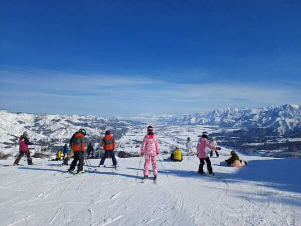 Large figure1 gallery1