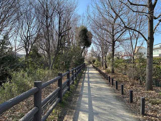 26031216evs16ecamera_02