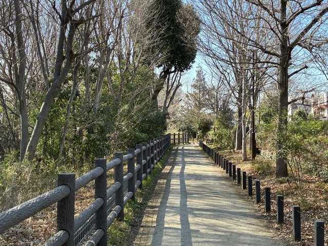 26031216evs16ecamera_04