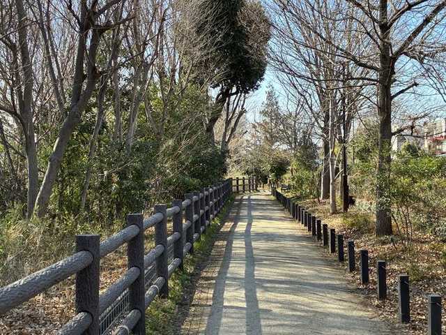 26031216evs16ecamera_05