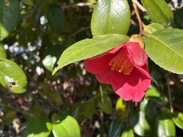 26031216evs16ecamera_07