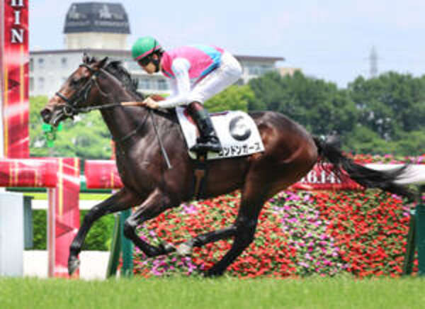 阪神5R・2歳新馬】「強かった」松山弘平騎手も賛辞 ロンドンガーズ