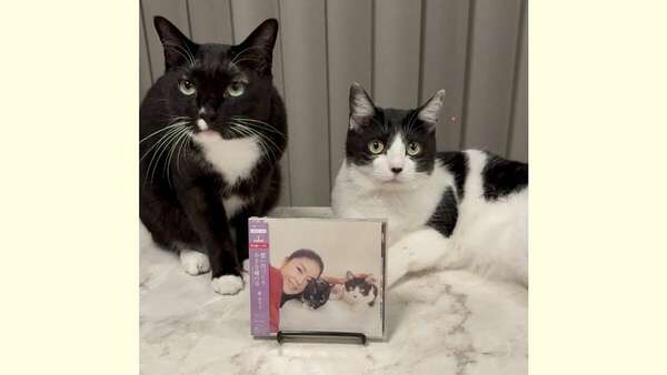 ねこ 】藤あや子さんの愛猫マル＆オレオ「ジャケ写デビュー
