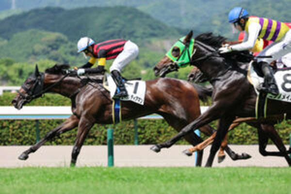 JRA必勝バイブル 奥村俊一の競馬赤本 希少本 JRA必勝バイブル 奥村俊一の競馬赤本 希少本