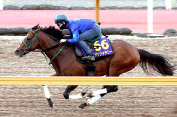 安田記念】ダービージョッキー松山弘平騎手背にパンジャタワー伸びた