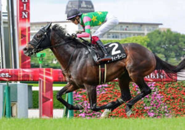 阪神11R・垂水S】7番人気ジーティーダーリンが逃げ切りオープン